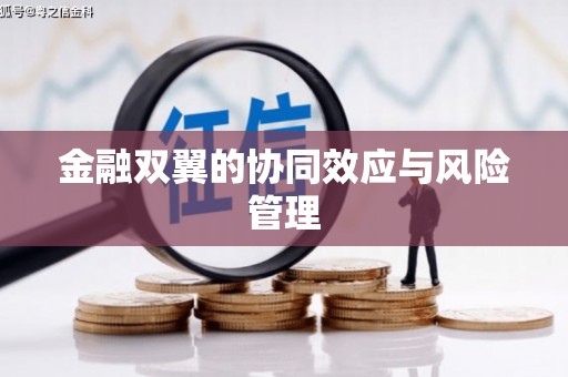 稻城金融双翼的协同效应与风险管理