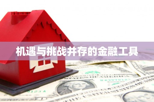 稻城机遇与挑战并存的金融工具