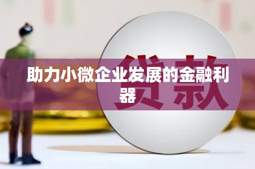 稻城助力小微企业发展的金融利器