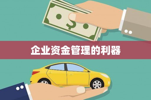 稻城企业资金管理的利器