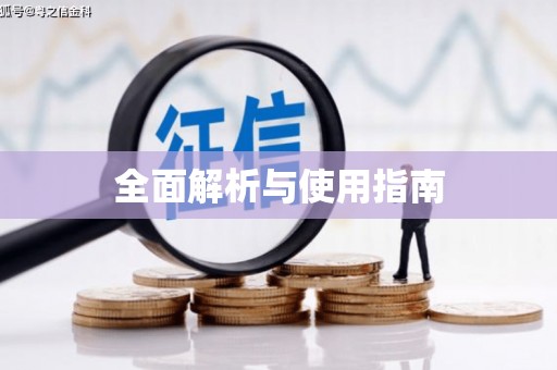 稻城全面解析与使用指南
