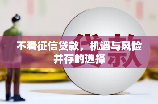 稻城不看征信贷款，机遇与风险并存的选择