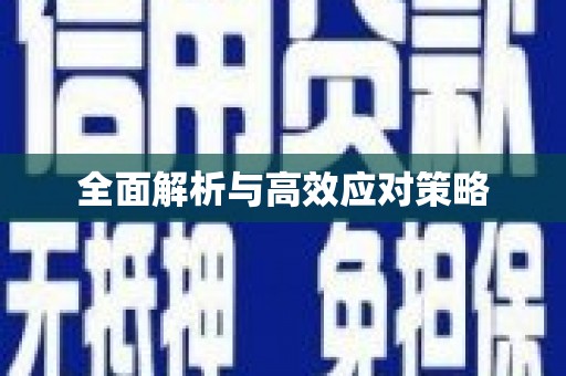 稻城全面解析与高效应对策略