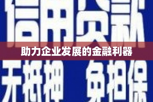 稻城助力企业发展的金融利器