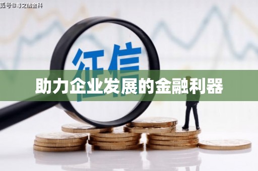 稻城助力企业发展的金融利器