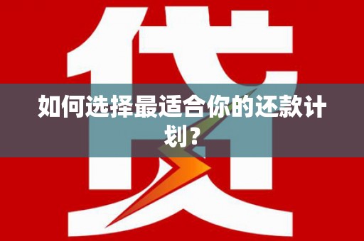 稻城如何选择最适合你的还款计划？