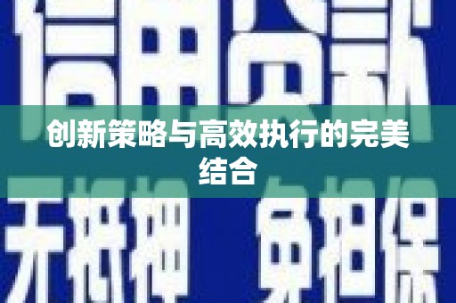 稻城创新策略与高效执行的完美结合