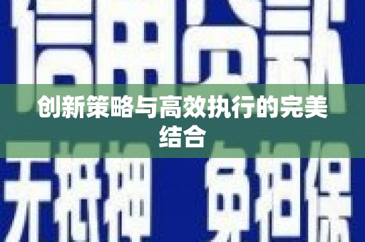稻城创新策略与高效执行的完美结合