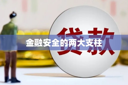 稻城金融安全的两大支柱