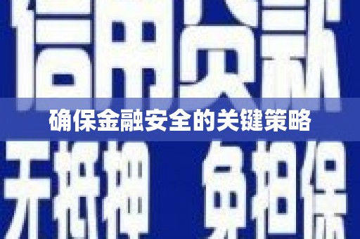 稻城确保金融安全的关键策略
