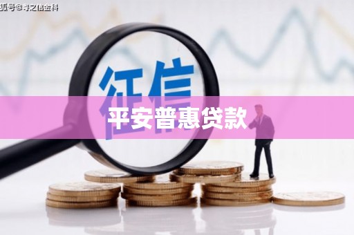 稻城平安普惠贷款