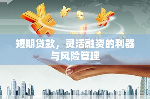稻城短期贷款，灵活融资的利器与风险管理