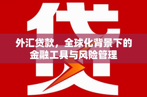 稻城外汇贷款，全球化背景下的金融工具与风险管理