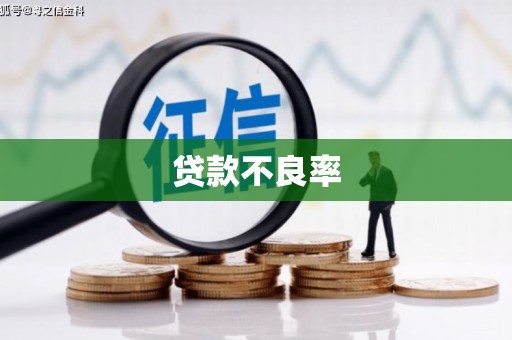 稻城贷款不良率