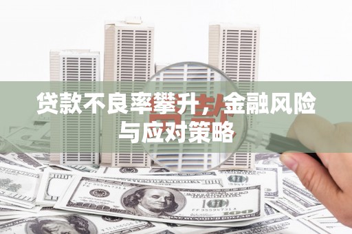 稻城贷款不良率攀升，金融风险与应对策略