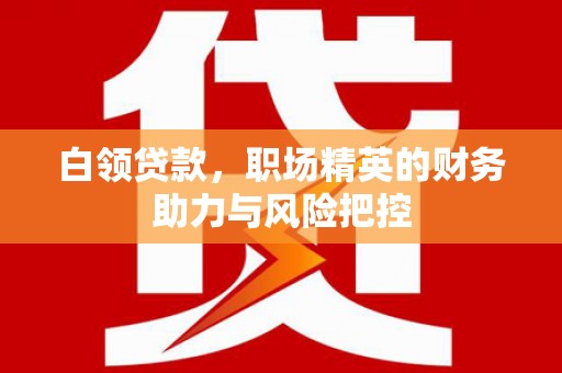 稻城白领贷款，职场精英的财务助力与风险把控