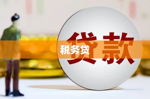 稻城税务贷